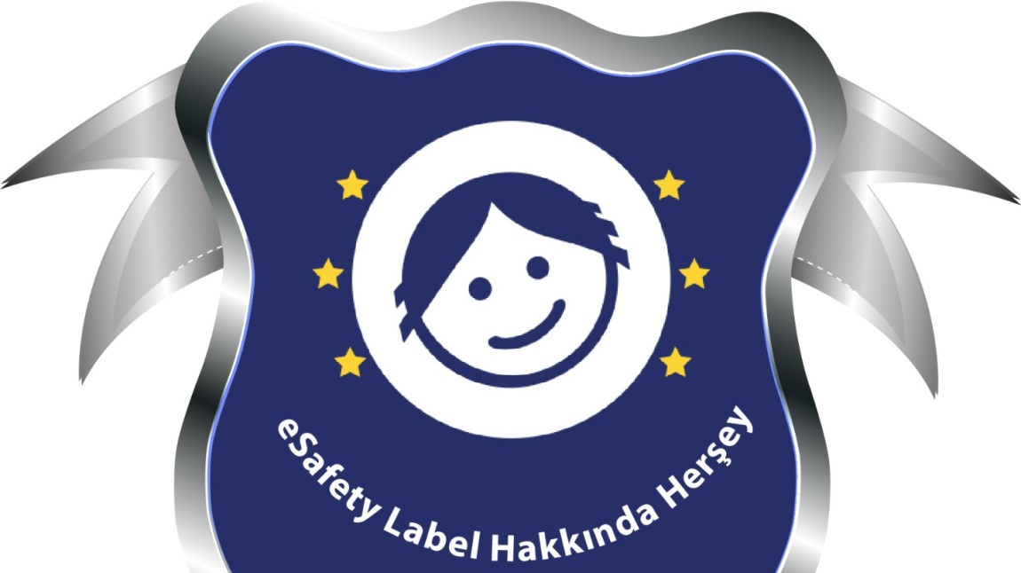 Buhara Ortaokulu E-Güvenlik Politikası -eSafety Label