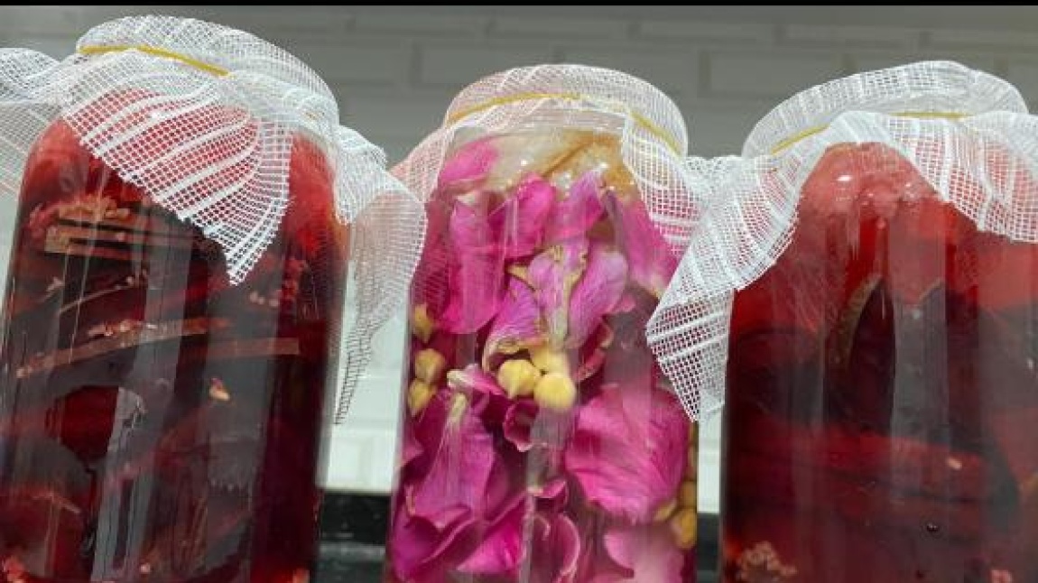 My Colored Vinegars (Renkli Sirkelerim) Projemiz Başarıyla Sonuçlandı